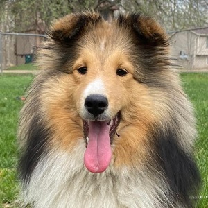 Fundraising Page: Kelly Clark